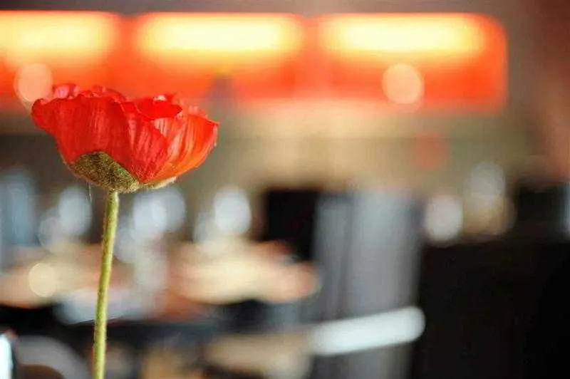 Mercure Hotel Brussels Airport Diegem